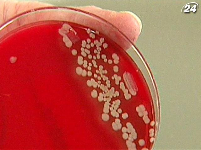 Шпитальні інфекції можуть бути стійкішими за гігієну та антибіотики Шпитальні інфекції можуть бути стійкішими за гігієну та антибіотики