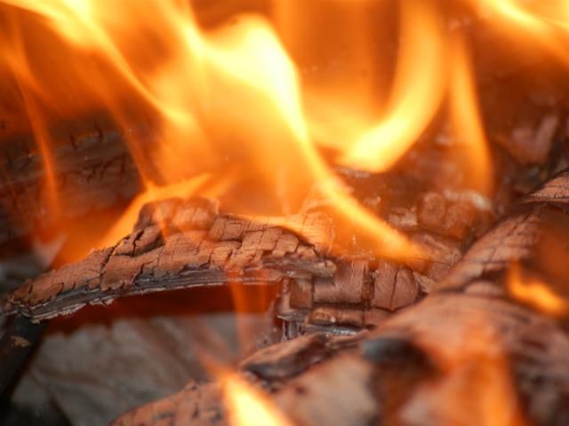 На Закарпатье от пожара пострадали трое малышей На Закарпатье от пожара пострадали трое малышей