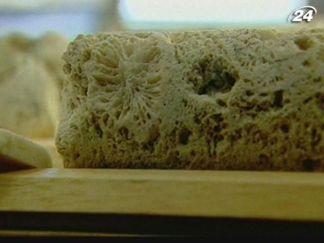 Як досліджують коралові рифи, яким 200 тисяч років (Відео) Як досліджують коралові рифи, яким 200 тисяч років (Відео)