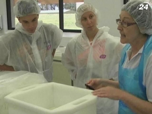 В Австралії відкрили академію сироваріння В Австралії відкрили академію сироваріння