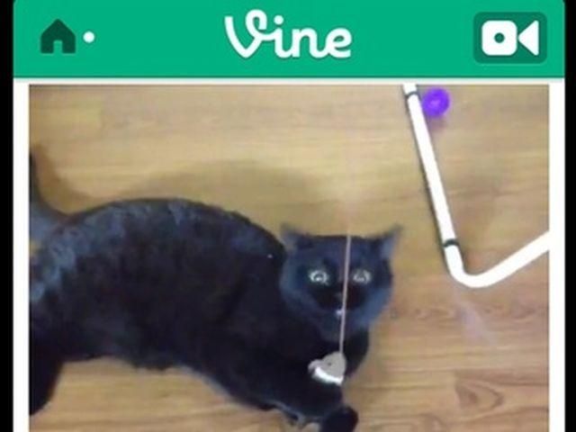 Twitter запустив власного конкурента Instagram Twitter запустив власного конкурента Instagram