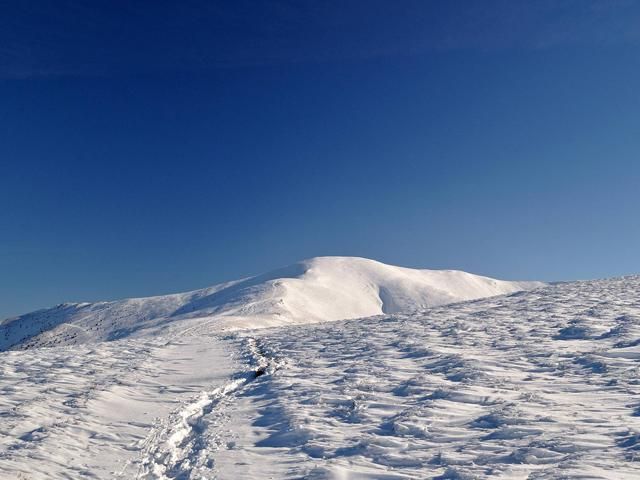 На Закарпатье нашли тела двух туристов, пропавших неделю назад На Закарпатье нашли тела двух туристов, пропавших неделю назад