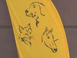 Josera в Украине Josera в Украине