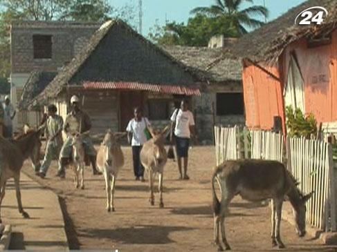 Найроби - город мирной жизни воров и животных Найроби - город мирной жизни воров и животных