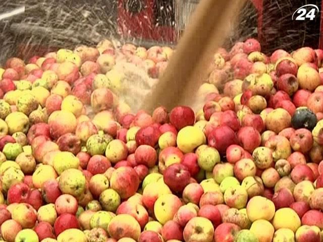 Украина установила абсолютный рекорд по производству яблочного сока