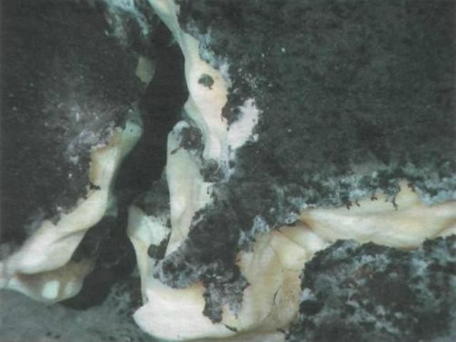 Японія буде видобувати метан з океанського дна Японія буде видобувати метан з океанського дна