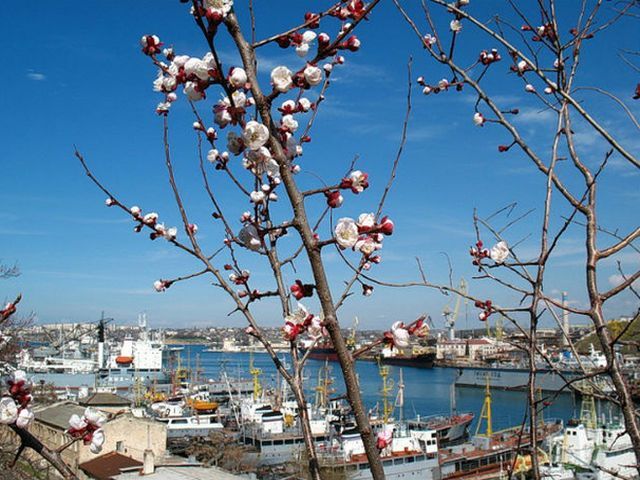 На этой неделе морозов не будет На этой неделе морозов не будет