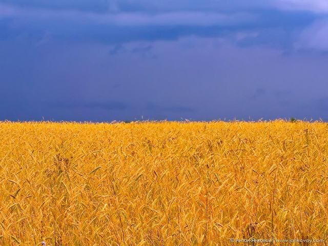 Государственные флаги в пейзажах природы (Фото) Государственные флаги в пейзажах природы (Фото)