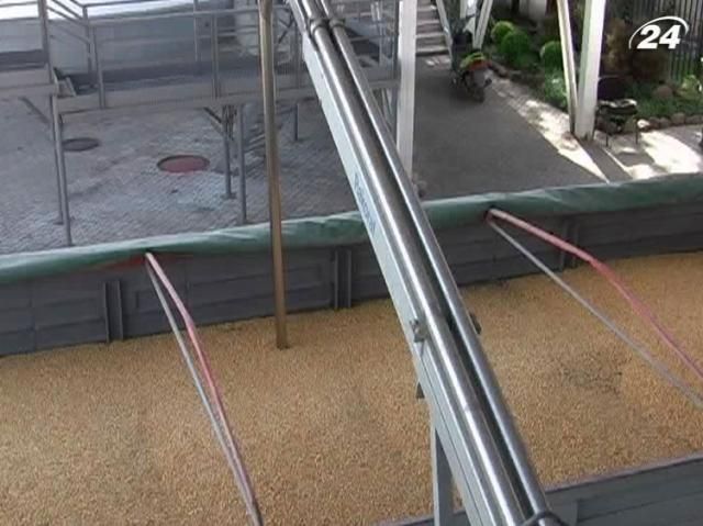 У Мінагропроді пояснили, хто може експортувати пшеницю У Мінагропроді пояснили, хто може експортувати пшеницю