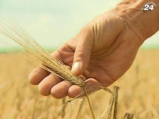 Страховики компенсували аграріям 52,2 млн грн збитків