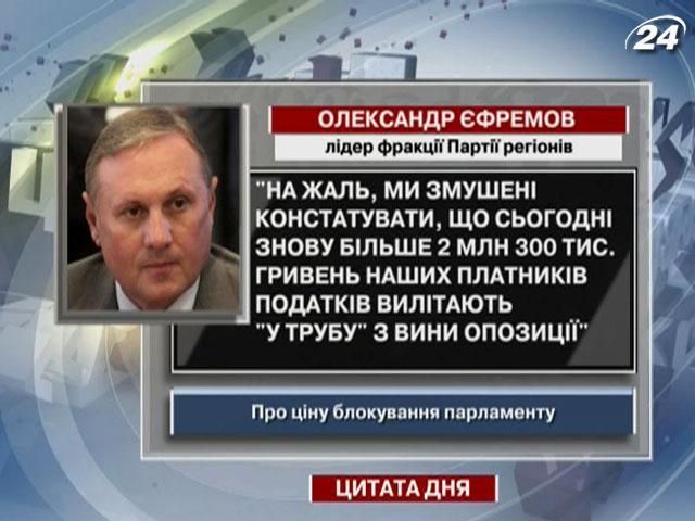 Єфремов: Більше 2 мільйонів гривень ідуть "в трубу" за кожен день блокування Ради