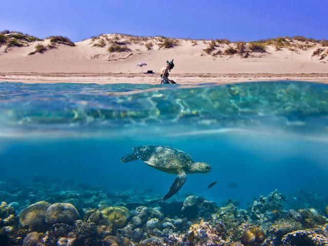 Лучшие работы конкурса Sony World Photography Awards 2013 (Фото) Лучшие работы конкурса Sony World Photography Awards 2013 (Фото)