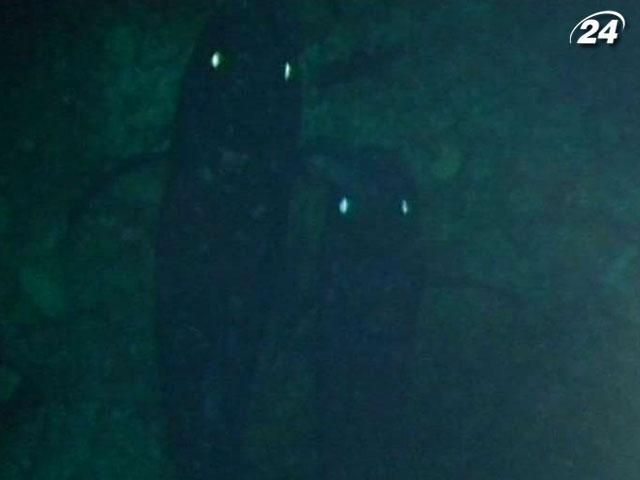 У водах Коморських островів дослідники знайшли доісторичних риб У водах Коморських островів дослідники знайшли доісторичних риб