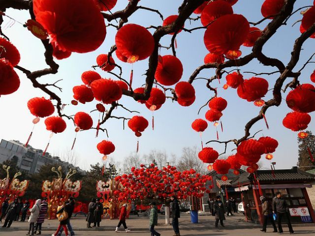 Китайці зустріли новий рік змії (Фото) 