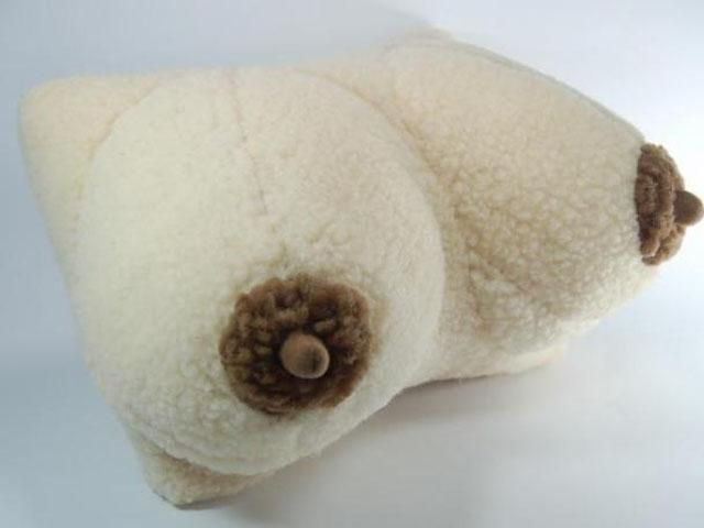 На Одещині грабіжники викрали подушку у формі жіночих грудей На Одещині грабіжники викрали подушку у формі жіночих грудей