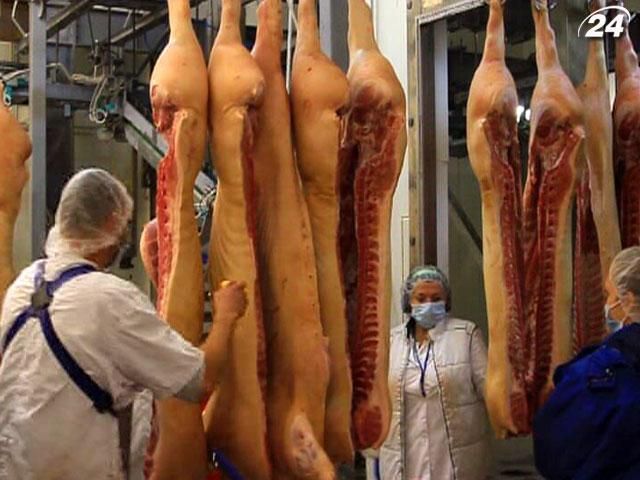 Чиновники в 2013 году планируют сократить импорт свинины Чиновники в 2013 году планируют сократить импорт свинины