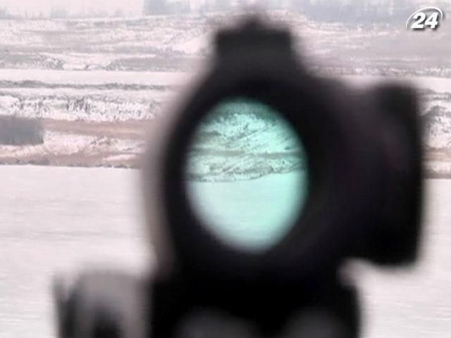 В Новом Роздоле поселились волки из Чернобыля В Новом Роздоле поселились волки из Чернобыля