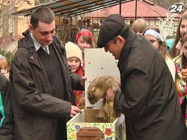 Найближчих шість тижнів тепла чекати не варто, - прогноз бабака