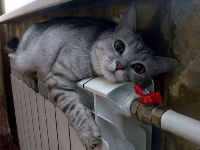 Початок тижня в Україні буде сухим і морозним Початок тижня в Україні буде сухим і морозним