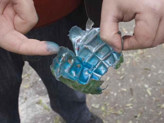 В посылке сдетонировали гранаты для пейнтбола В посылке сдетонировали гранаты для пейнтбола