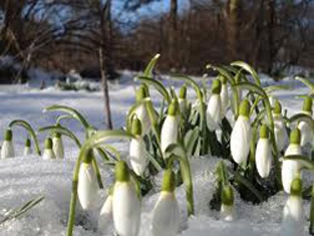 Гидрометцентр: С начала марта в Украине плюсовая температура Гидрометцентр: С начала марта в Украине плюсовая температура