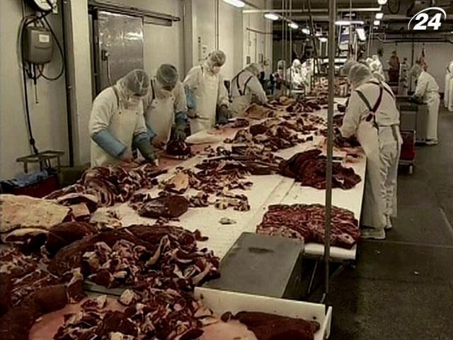 Компанія Spanghero відновлює продажі після "м'ясного скандалу"