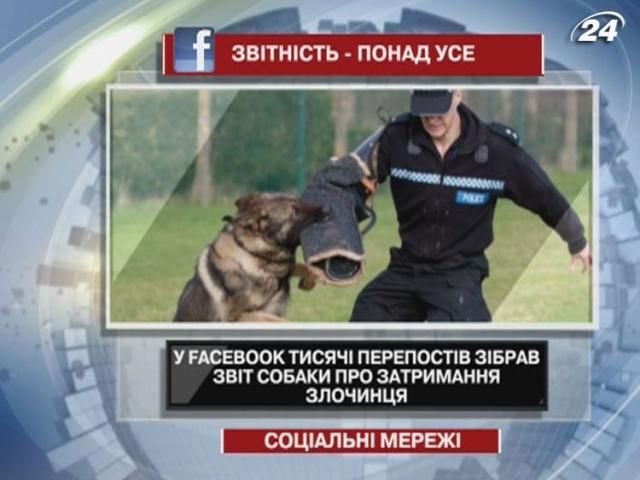 В Facebook отчет собаки о задержании преступника собрал тысячи перепостов