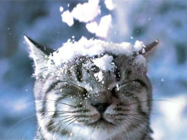 Сьогодні в Україні сніг, а на дорогах ожеледиця Сьогодні в Україні сніг, а на дорогах ожеледиця