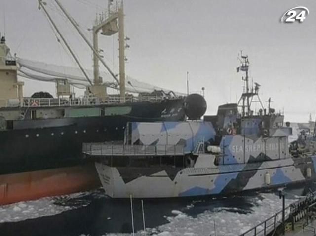 В водах Антарктики экологи столкнулись с японским китобойным судном