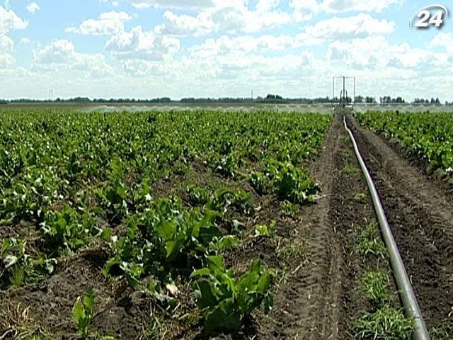 Украинские агрохолдинги за год привлекли 950 миллионов долларов