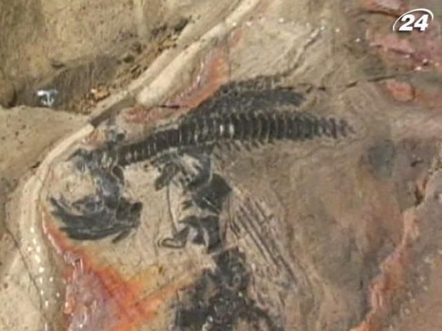 У Чилі знайшли рештки іхтіозаврів