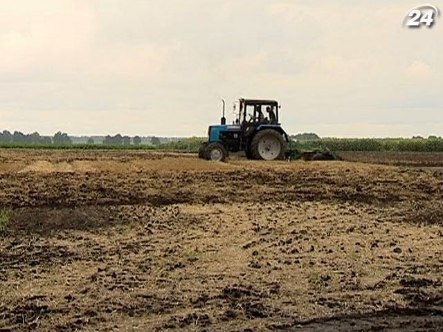 Украинские аграрии обеспечены минеральными удобрениями на 90%