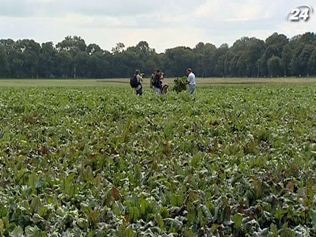 Українським аграріям обіцяють новий фінансовий інструмент Українським аграріям обіцяють новий фінансовий інструмент