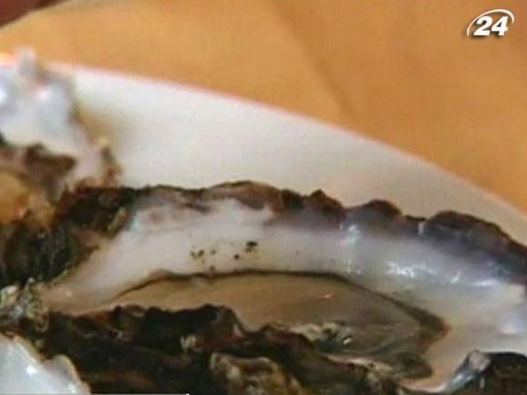 1500 гурманов ежегодно охотятся на устриц 1500 гурманов ежегодно охотятся на устриц
