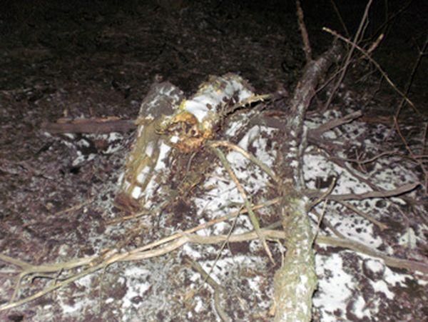 У Горлівці чоловік задушив свого товариша і сховав тіло у лісосмузі У Горлівці чоловік задушив свого товариша і сховав тіло у лісосмузі