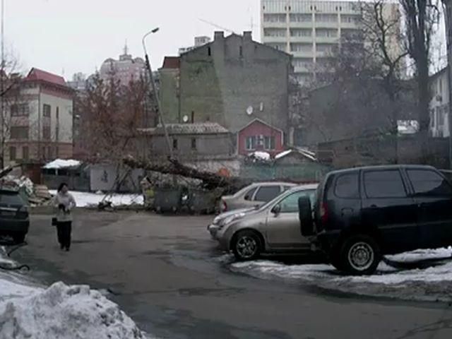 У центрі Києва жінку ледь не розчавило дерево (Відео)