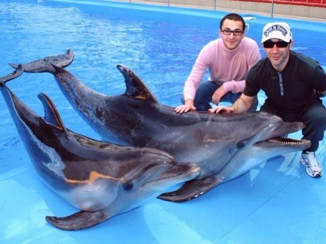 Мэр Харькова Кернес продолжает делиться личными фотографиями (Фото) Мэр Харькова Кернес продолжает делиться личными фотографиями (Фото)