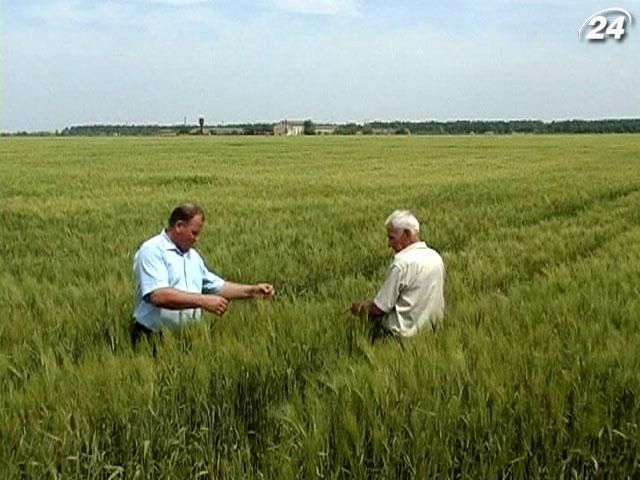 Земельному банку дали 120 мільйонів гривень Земельному банку дали 120 мільйонів гривень