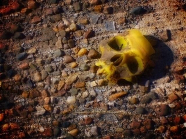 На горищі російської школи знайшли мішок з черепами