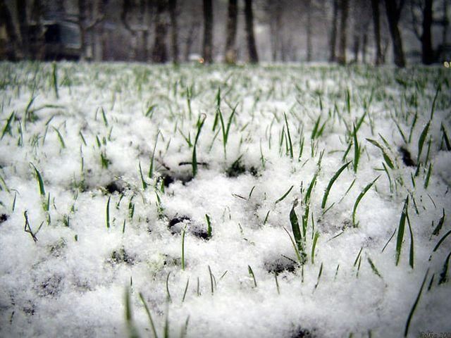 Весна зустріне українців мокрим снігом і дощем