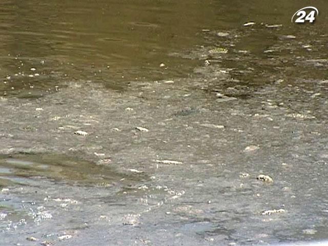 Ежедневно в канализационные стоки киевляне смывают более 9 тонн мусора Ежедневно в канализационные стоки киевляне смывают более 9 тонн мусора