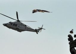 Бенедикт XVI покинув Ватикан на вертольоті (Відео)