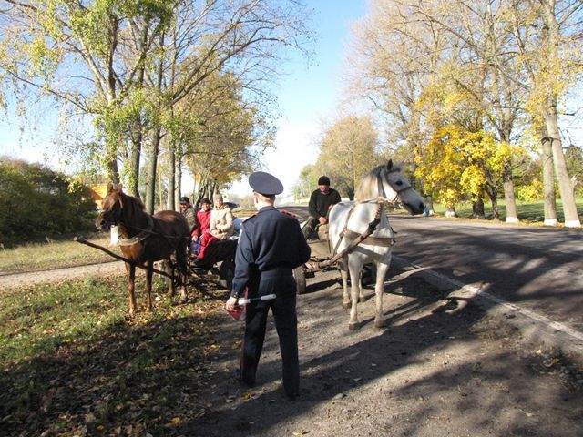 На Львівщині водій возу зіткнувся з легковиком