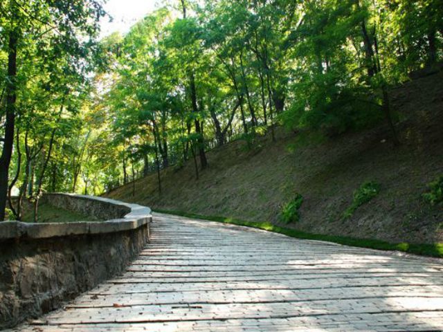 У Київських парках встановлять камери, щоб стежити за відвідувачами У Київських парках встановлять камери, щоб стежити за відвідувачами