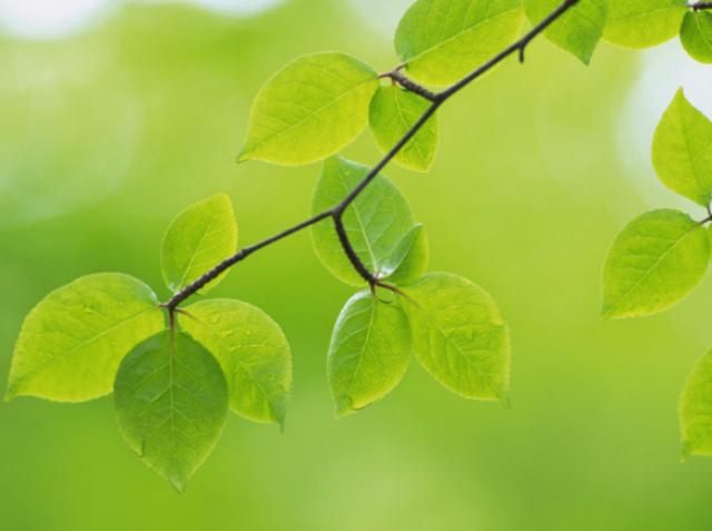 Гидрометцентр: Существенное потепление стоит ожидать на 20-е числа Гидрометцентр: Существенное потепление стоит ожидать на 20-е числа