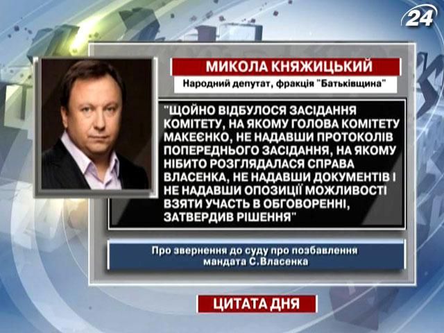 Княжицкий: Не предоставив никаких документов, Власенко лишили мандата