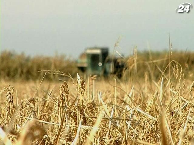 Минулого року українські аграрії отримали 11 мільярдів пільгових кредитів