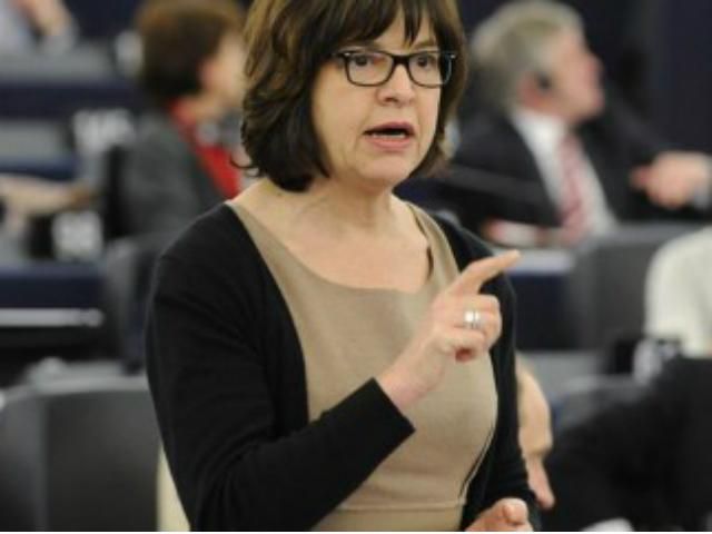 Євродепутат назвала справу Власенка політично мотивованою Євродепутат назвала справу Власенка політично мотивованою