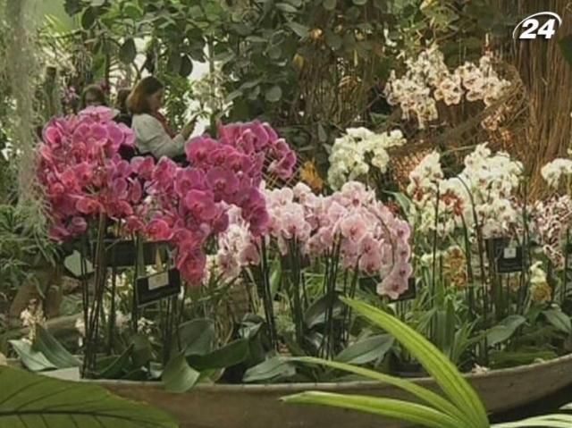 В Париже показали 150 видов орхидей