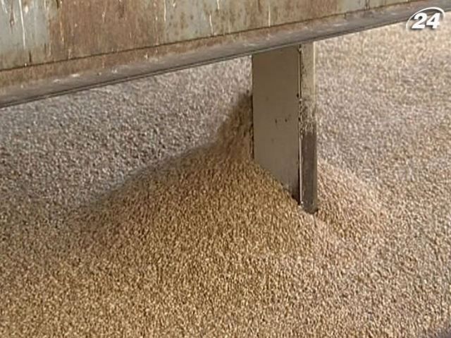 Україна до червня може експортувати ще 500 тис т пшениці